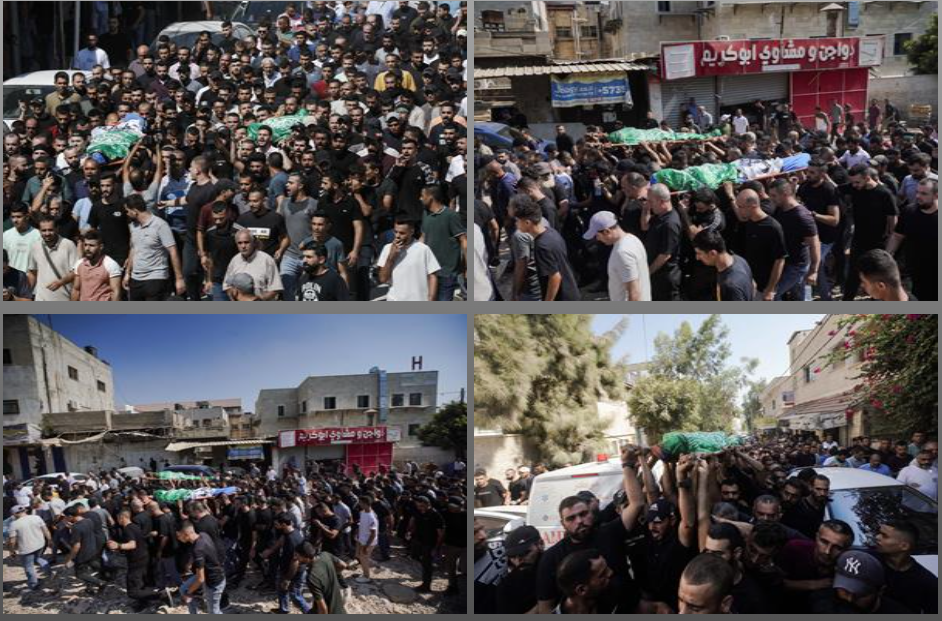 تصوير - محمد منصور/وفا